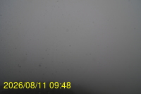 Img20260811_094831.jpg