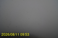Img20260811_095331.jpg