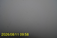Img20260811_095831.jpg