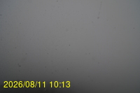 Img20260811_101332.jpg