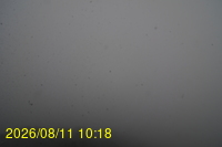 Img20260811_101831.jpg