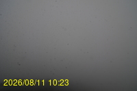 Img20260811_102332.jpg