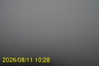 Img20260811_102832.jpg