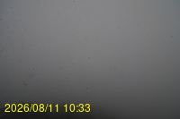Img20260811_103331.jpg