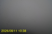 Img20260811_103832.jpg