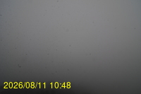Img20260811_104832.jpg