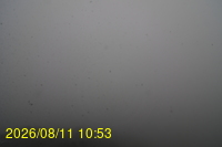 Img20260811_105332.jpg