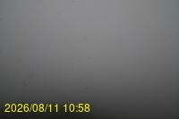 Img20260811_105832.jpg