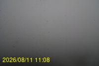 Img20260811_110832.jpg