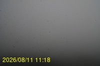 Img20260811_111832.jpg