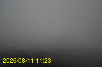 Img20260811_112332.jpg