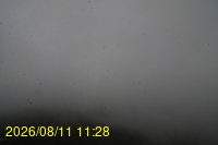 Img20260811_112832.jpg