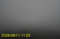 Img20260811_113332.jpg