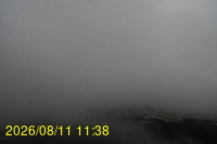 Img20260811_113832.jpg