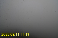 Img20260811_114332.jpg