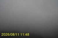 Img20260811_114832.jpg