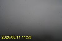 Img20260811_115332.jpg