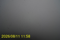 Img20260811_115832.jpg