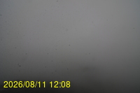 Img20260811_120832.jpg