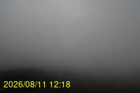 Img20260811_121832.jpg