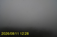 Img20260811_122832.jpg