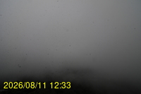 Img20260811_123332.jpg