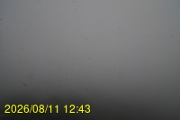 Img20260811_124332.jpg
