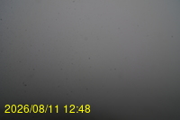 Img20260811_124832.jpg