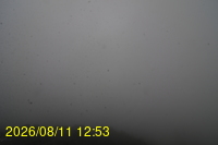 Img20260811_125332.jpg