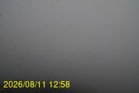 Img20260811_125832.jpg