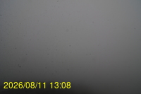 Img20260811_130832.jpg