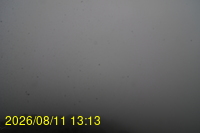 Img20260811_131332.jpg