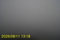 Img20260811_131832.jpg