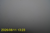Img20260811_132332.jpg