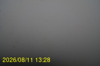 Img20260811_132832.jpg