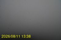 Img20260811_133832.jpg