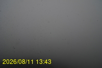Img20260811_134332.jpg