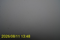 Img20260811_134832.jpg