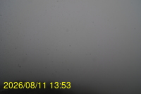 Img20260811_135332.jpg