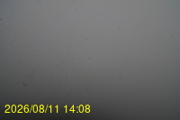 Img20260811_140832.jpg