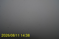 Img20260811_143832.jpg