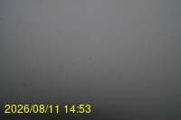 Img20260811_145332.jpg