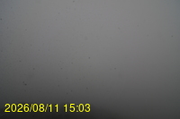 Img20260811_150332.jpg