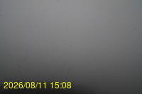 Img20260811_150832.jpg