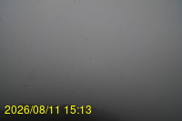 Img20260811_151332.jpg