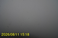 Img20260811_151832.jpg