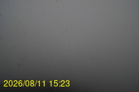 Img20260811_152332.jpg