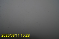 Img20260811_152832.jpg
