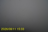 Img20260811_153332.jpg