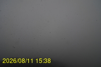 Img20260811_153832.jpg